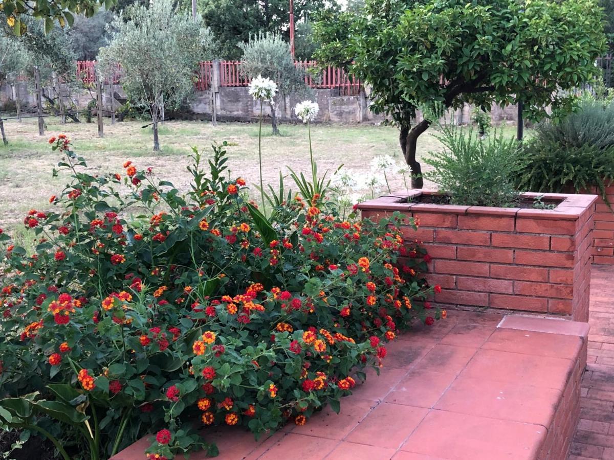 Villa Carolea Acireale Εξωτερικό φωτογραφία