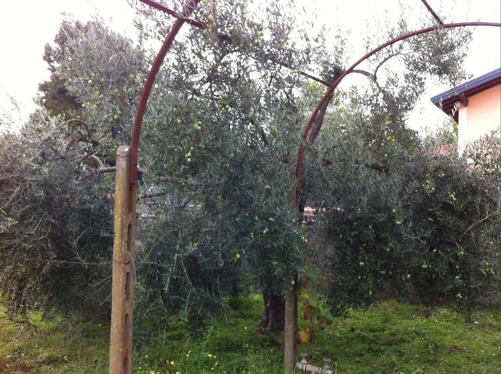 Villa Carolea Acireale Εξωτερικό φωτογραφία