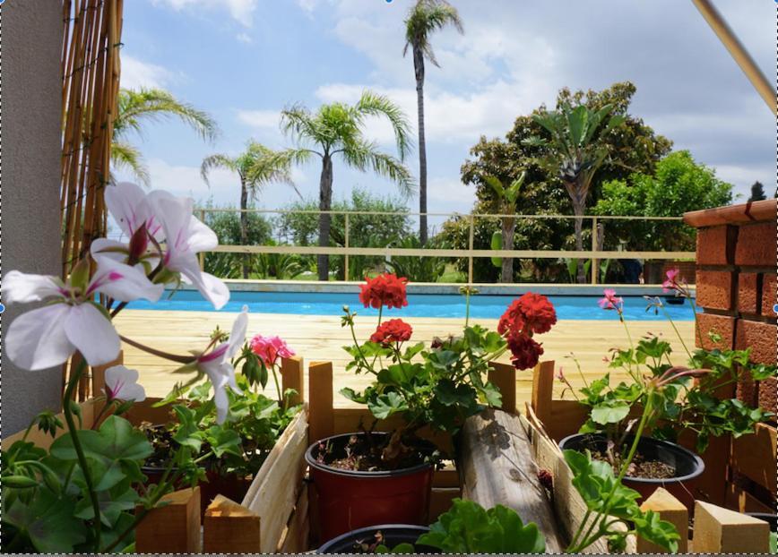 Villa Carolea Acireale Εξωτερικό φωτογραφία