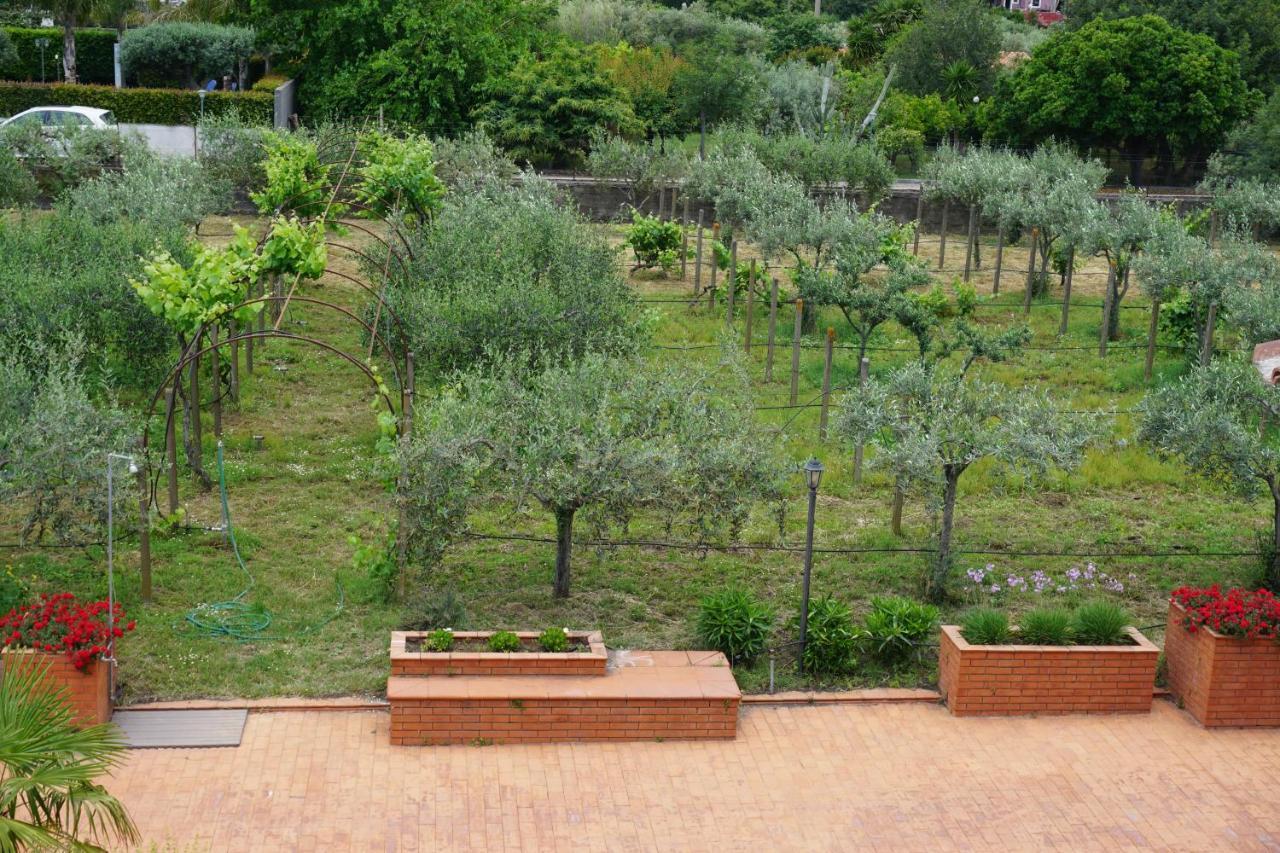 Villa Carolea Acireale Εξωτερικό φωτογραφία