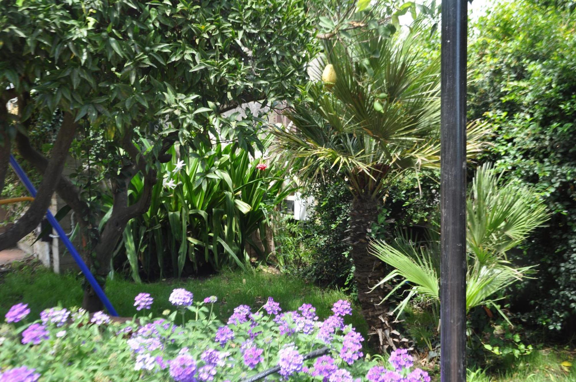 Villa Carolea Acireale Εξωτερικό φωτογραφία